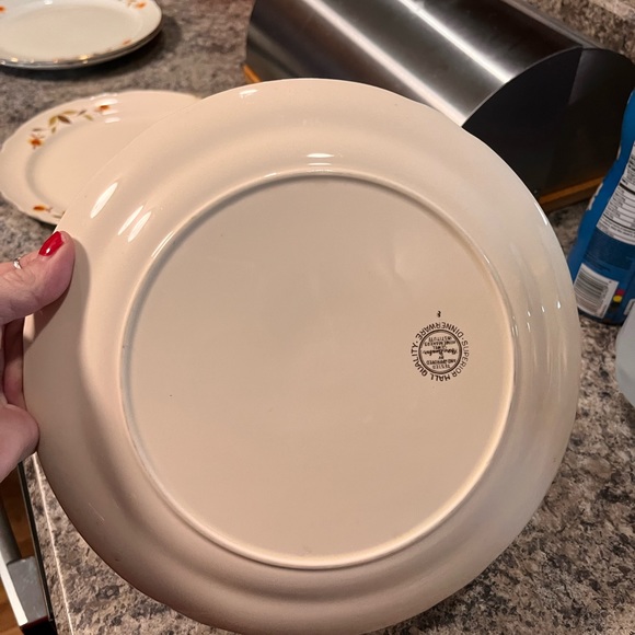 MARY DUNBAR JEWEL HALLS SUPERIOR DISHES - Picture 13 of 15